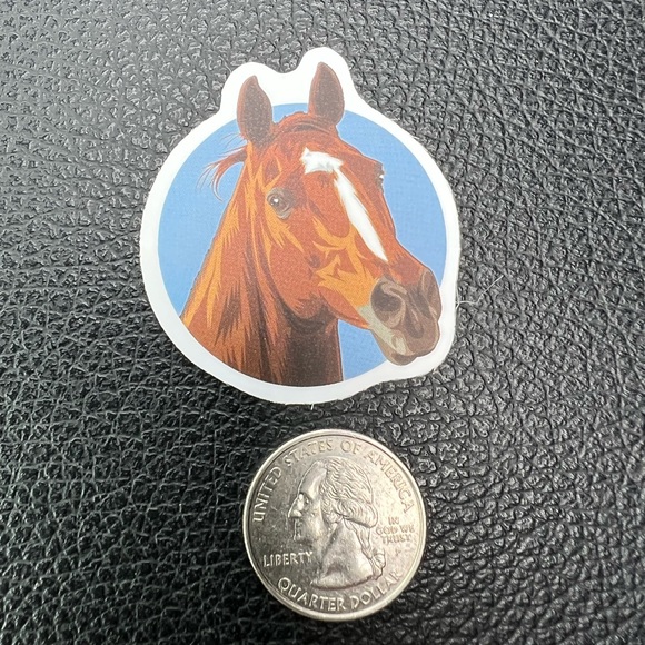 Red Horse Pony Equestrian Western English Cowboy Cowgirl Decor Sticker - Picture 4 of 4